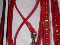 Lot hals- en leibandjes + eet/drinkbakken hond - afbeelding 2 van  4