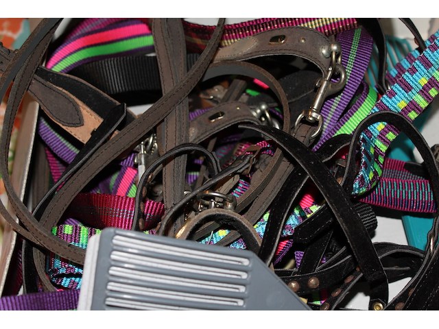 Lot hals- en leibandjes + eet/drinkbakken hond - afbeelding 3 van  4