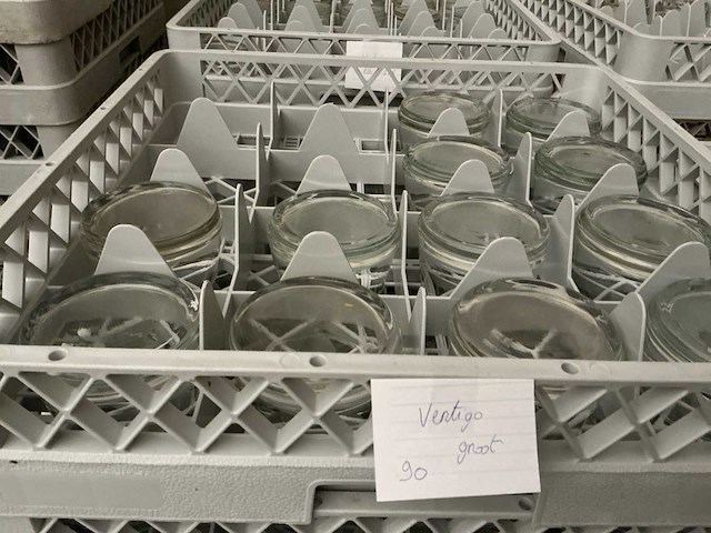 Lot hapjes glazen - afbeelding 4 van  5