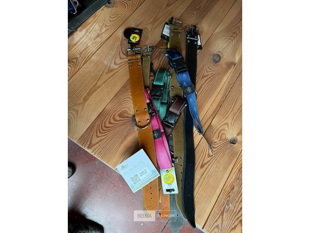 Lot hondenhalsbanden grote hond (±10x) - afbeelding 1 van  2