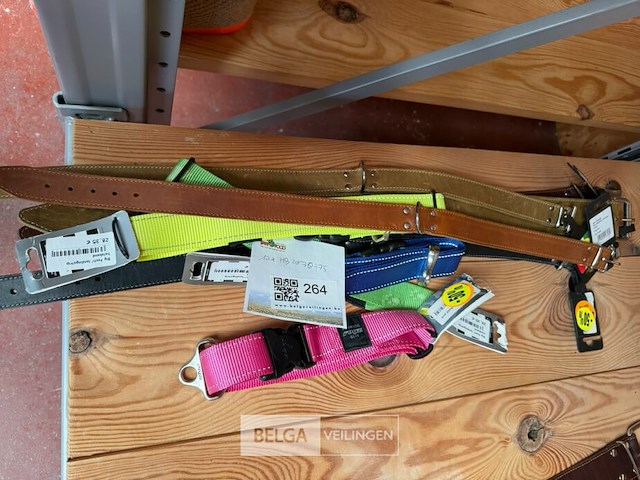 Lot hondenhalsbanden grote hond (±10x) - afbeelding 1 van  2