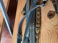 Lot hondenhalsbanden grote hond (±8x) - afbeelding 1 van  2