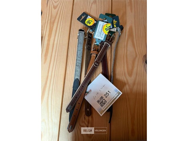Lot hondenhalsbanden kleine hond (±6x) - afbeelding 1 van  1