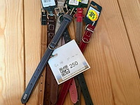 Lot hondenhalsbanden kleine hond (±8x) - afbeelding 1 van  1