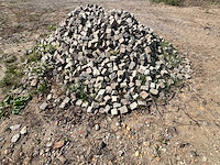 Lot kasseien stenen & bakstenen - afbeelding 11 van  13