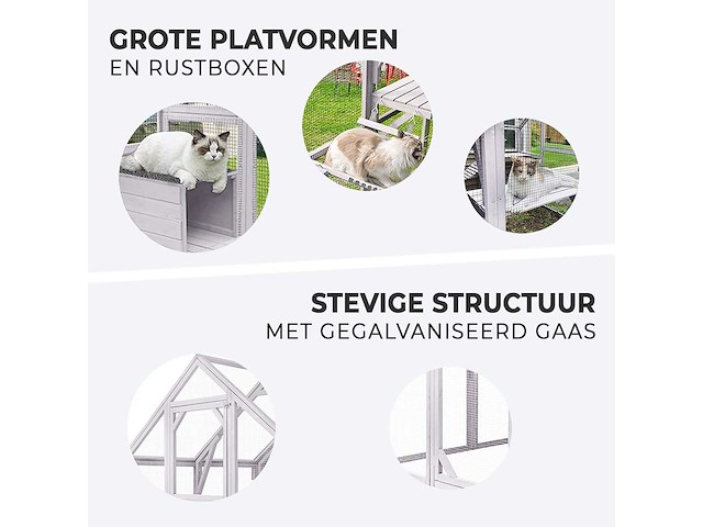 Lot kattenkooien - afbeelding 1 van  1