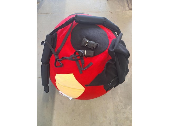 Lot lieveheersbeest pakken - afbeelding 1 van  1