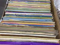 Lot lp 's divers +100 - afbeelding 1 van  2