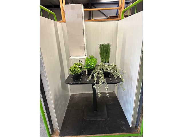 Lot nepkamerplanten - afbeelding 1 van  6