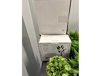 Lot nepkamerplanten - afbeelding 4 van  6