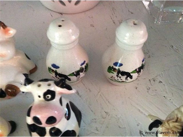 Lot peper & zoutvaatjes - afbeelding 2 van  3