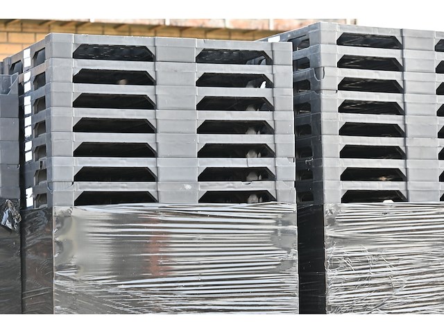 Lot plastic paletten - afbeelding 2 van  3