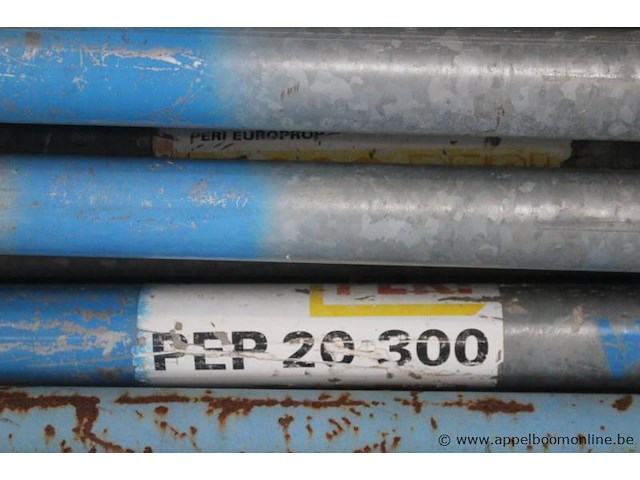 Lot schoren peri, pep 20-300 - afbeelding 2 van  3