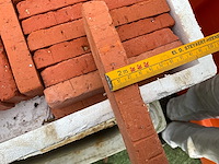 Lot steenstrips - afbeelding 9 van  9