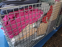 Lot tuinkussens kussencovers hoezen - afbeelding 3 van  4