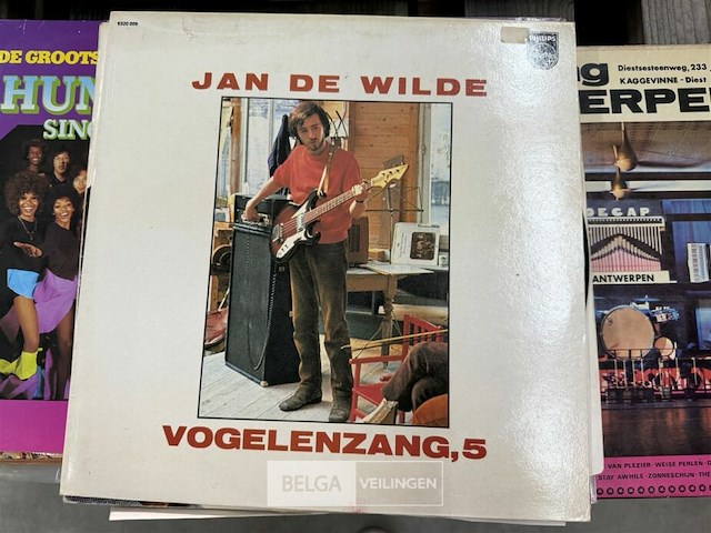 Lot van ± 10x lp's - afbeelding 1 van  1