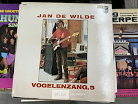 Lot van ± 10x lp's