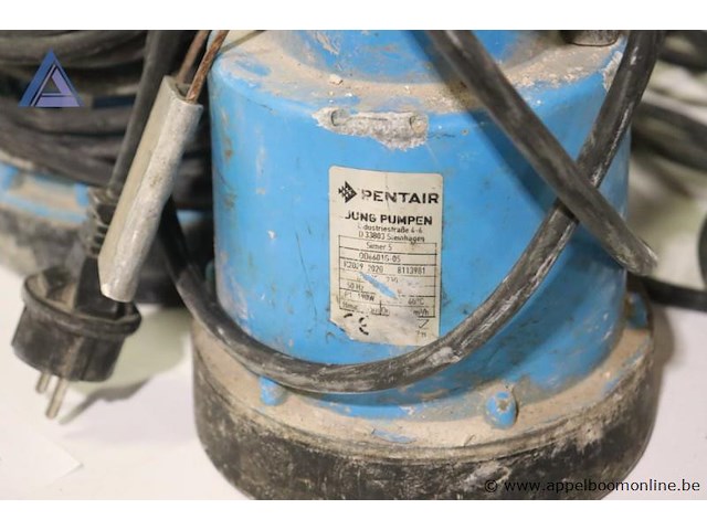 Lot van 2 dompelpompen - simer - 5 - afbeelding 3 van  3