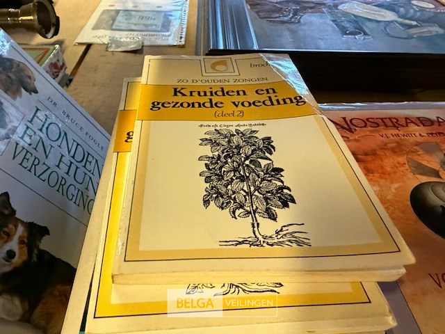 Lot van div boeken oldtimers - afbeelding 7 van  11