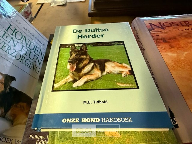 Lot van div boeken oldtimers - afbeelding 8 van  11