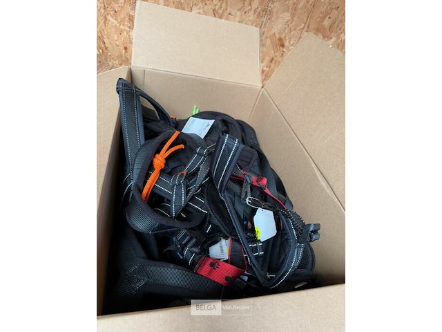 Lot van div harnassen voor honden (±20x) - afbeelding 1 van  2