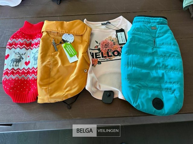 Lot van hondenjasjes - afbeelding 1 van  2