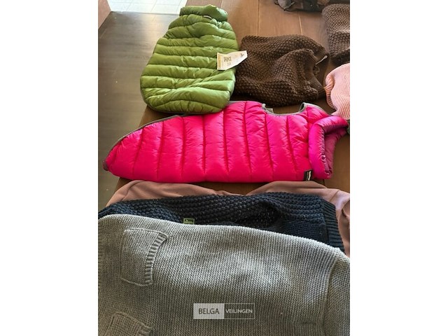 Lot van hondenjasjes - afbeelding 1 van  4