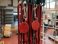 Lot van hondenlijnen met koppelstuk kleine honden (±13x) - afbeelding 3 van  3