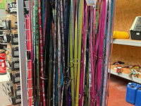 Lot van hondenriemen kleine honden (±10x) - afbeelding 1 van  4