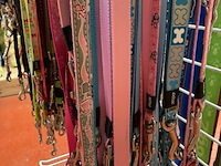 Lot van hondenriemen kleine honden (±10x) - afbeelding 4 van  4