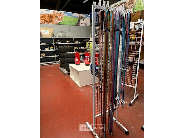 Lot van hondenriemen kleine honden (±11x) - afbeelding 1 van  3