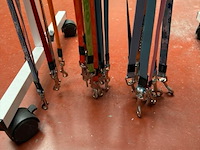 Lot van hondenriemen kleine honden (±11x) - afbeelding 3 van  3