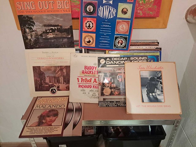 Lot van lp's (320 stuks) - afbeelding 14 van  20