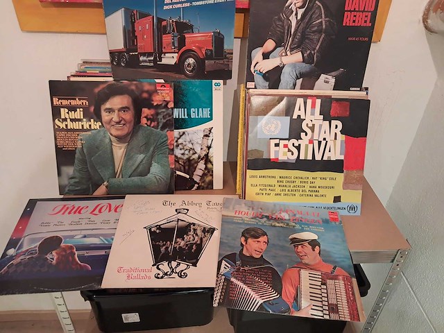 Lot van lp's (320 stuks) - afbeelding 15 van  20