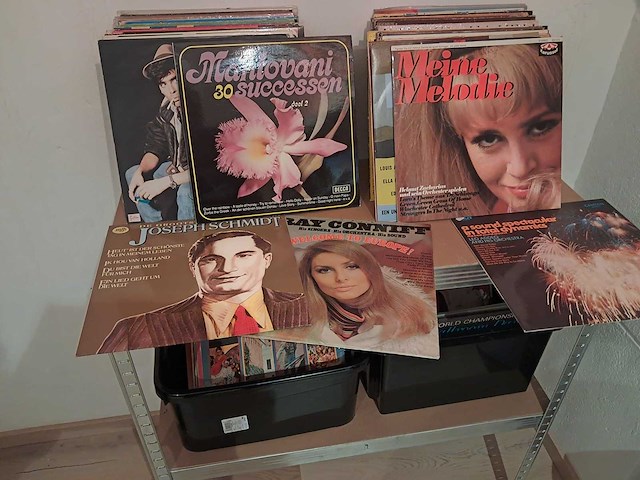 Lot van lp's (320 stuks) - afbeelding 20 van  20