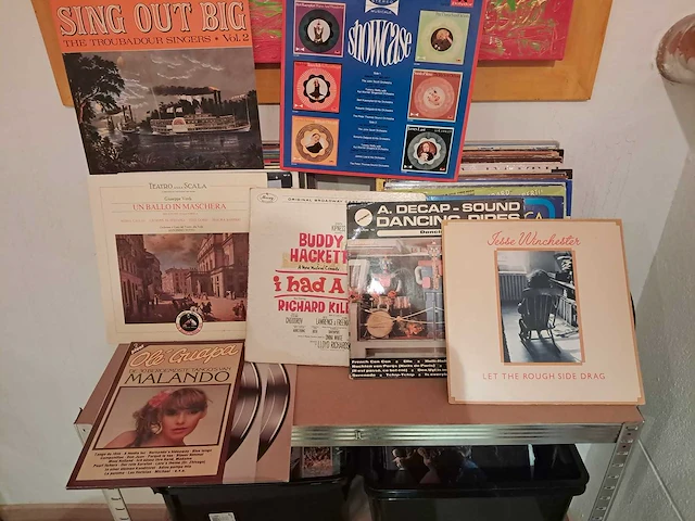 Lot van lp's (520 stuks) - afbeelding 3 van  5