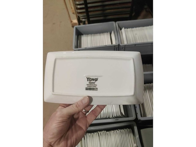 Lot van ongeveer 450 borden 24cmx13cm - squit (450x) excl. bakken - afbeelding 3 van  4