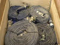 Lot waterdarmen - afbeelding 2 van  2