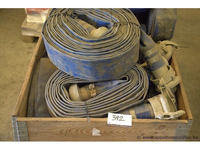 Lot waterdarmen - afbeelding 2 van  2