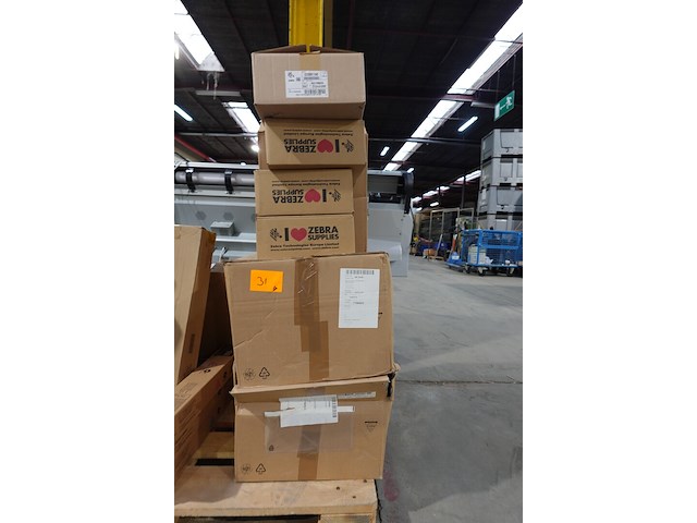 Lot zebra - afbeelding 1 van  4