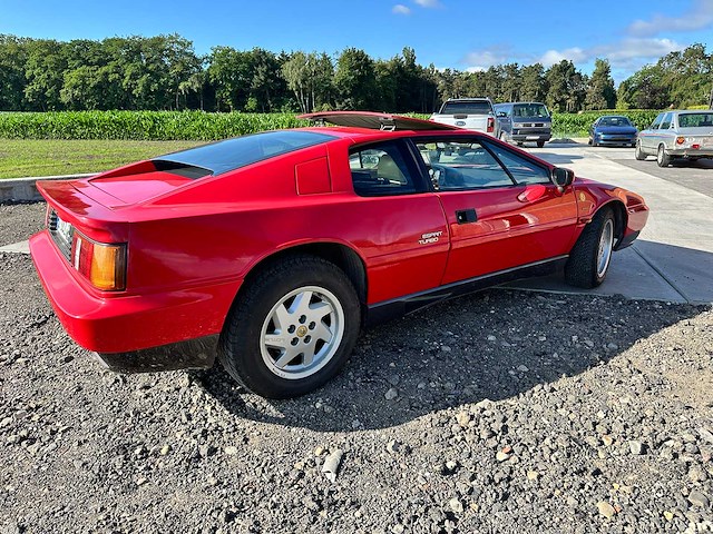 Lotus - coupé - esprit 2.2 turbo - oldtimer - afbeelding 40 van  46