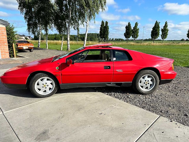 Lotus - esprit 2.2 turbo - oldtimer - afbeelding 13 van  44