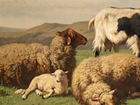 Louis robbe (1806-1887), flock of sheep and a goat in a landscape, oil on canvas 55 x 75 cm. (21.64 x 29.53 in.), frame: 69 x 88 cm. (27.17 x 34.64 in.) - afbeelding 5 van  6
