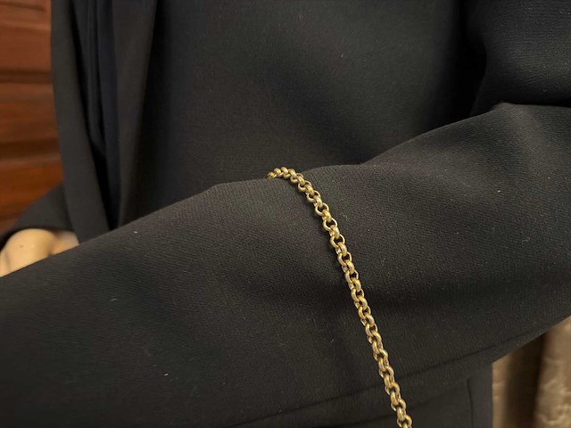 Louis vuitton handtas - afbeelding 4 van  9