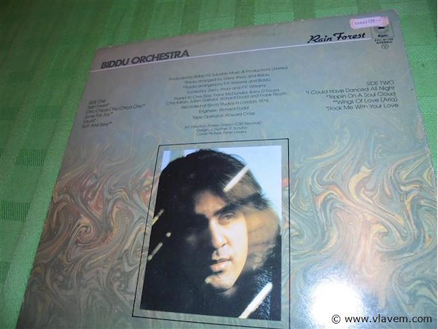 Lp/ maxisingels - afbeelding 2 van  2