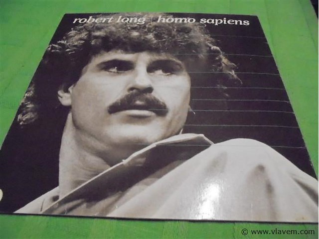 Lp/ maxisingels - afbeelding 1 van  2