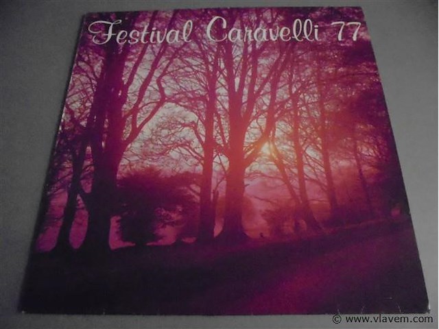 Lp/ maxisingels - afbeelding 1 van  2