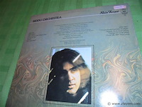 Lp/ maxisingels - afbeelding 2 van  2