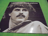 Lp/ maxisingels - afbeelding 1 van  2