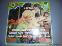 Lp/ maxisingels - afbeelding 1 van  2